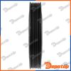 Poulie damper vilebrequin pour PEUGEOT | RKP-PE-001, 02927
